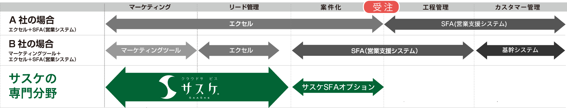 サスケの専門分野